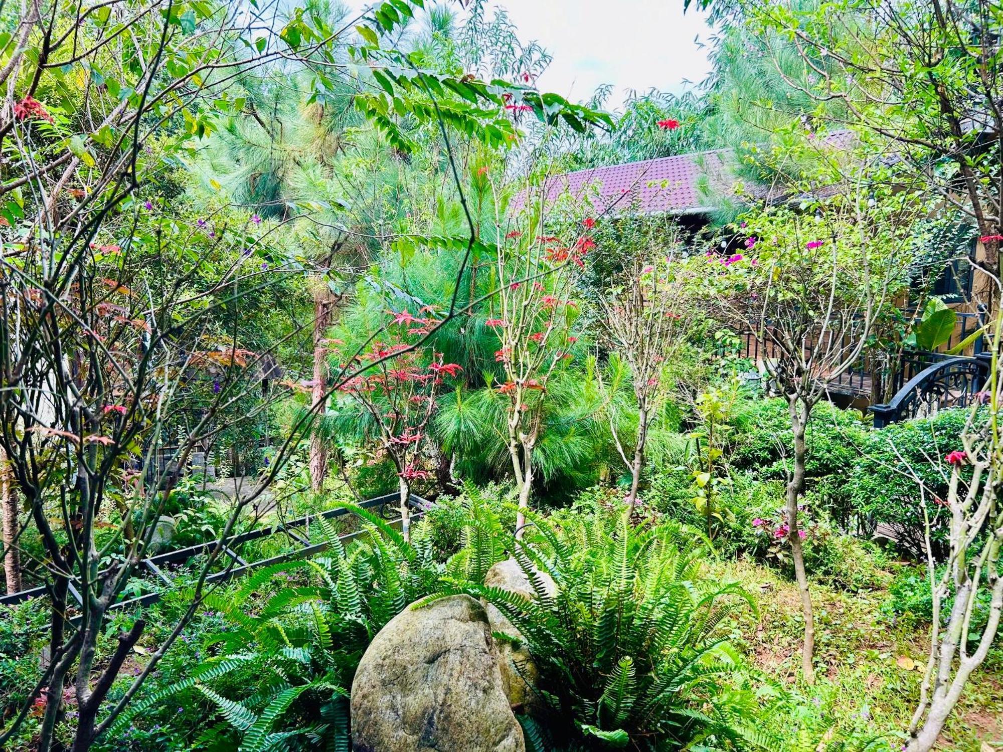 Bazan Home - Hotel & Bungalow Pleiku Luaran gambar